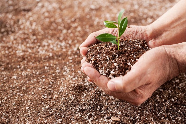 環境への影響や持続可能性に配慮したプロダクト