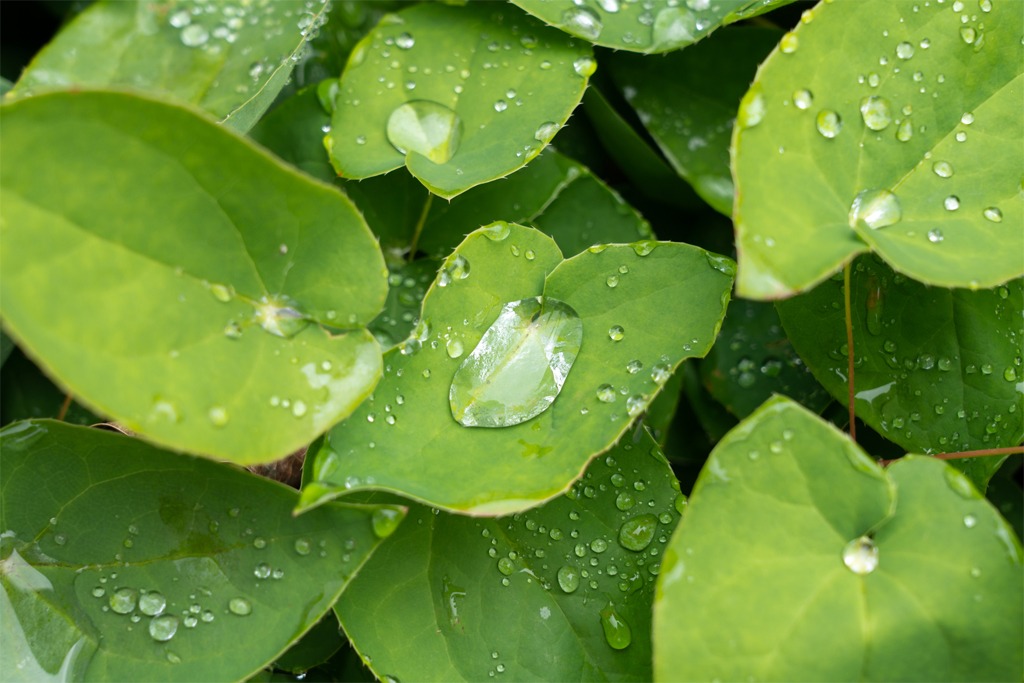 水分の力で発電！？